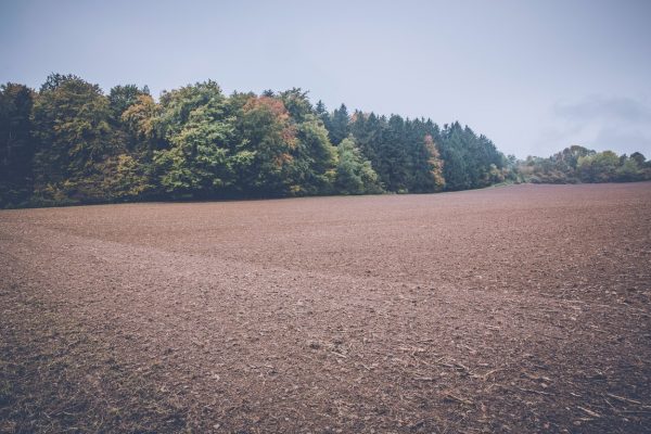 The Importance Of Purchasing And Preparing The Right Plot Of Land