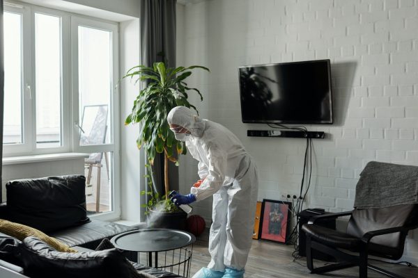 What to Look for in a Professional Cleaning Company